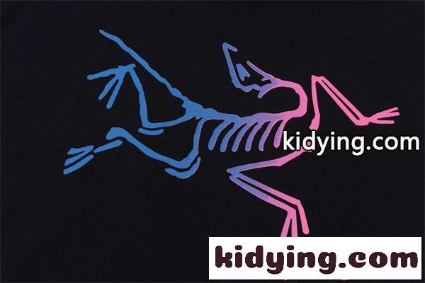 アークテリクス コピー アート風 プリント ARCTERYX 半袖Tシャツ メンズ 個性派デザイン カジュアル-4