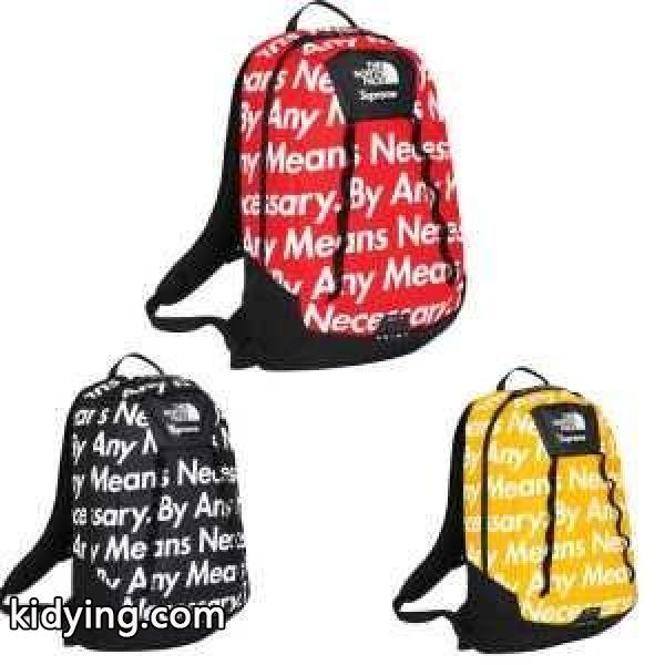先行販売 Supreme 15FW The North Face Base Camp Crimp Backpack シュプリーム ベースキャンプクリンプバックパック 2色可選_シュプリーム SUPREME_ブランド コピー 激安(日本最大級)-0