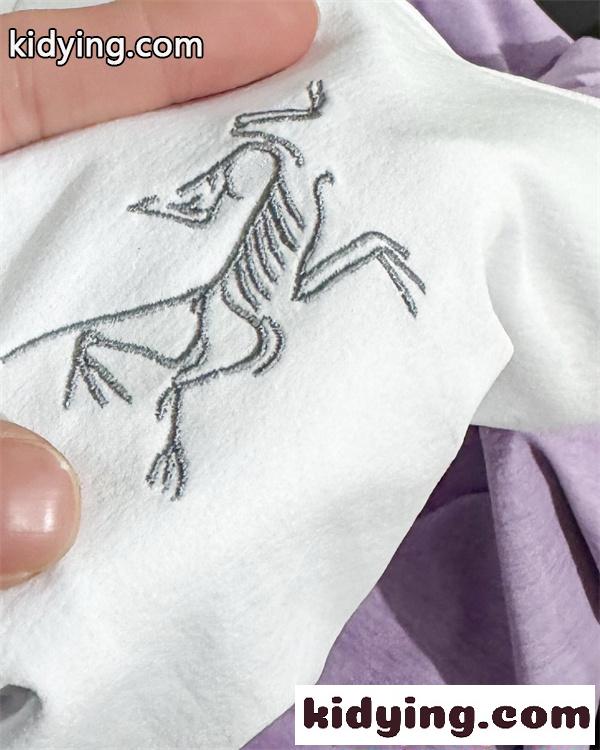 アークテリクス コピー プリント 半袖Tシャツ メンズ ストリート 個性デザイン カジュアル ARCTERYX-8