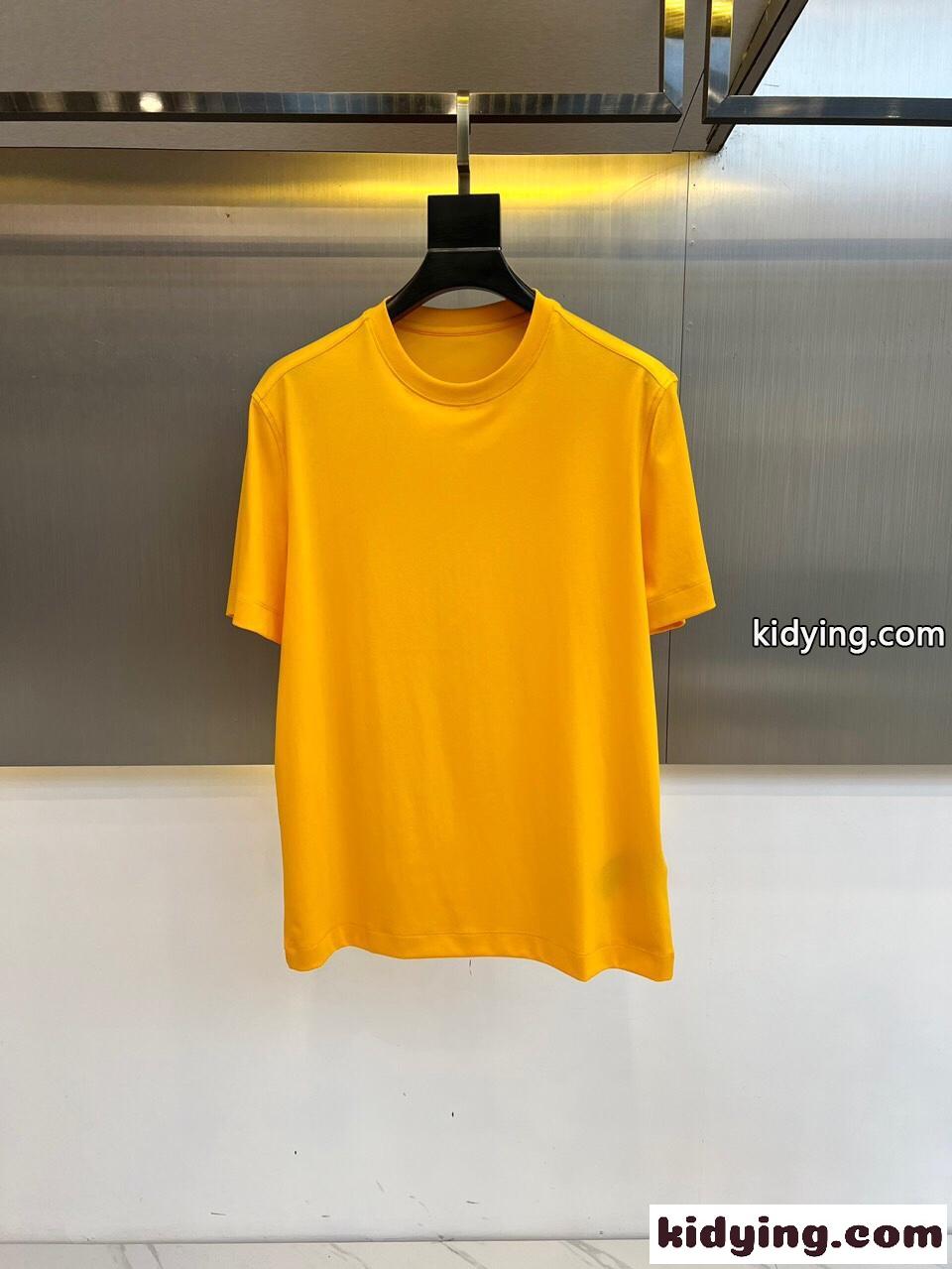 快適 冷感 クルーネック 半袖Tシャツ エルメネジルド・ゼニア Tシャツ コピー イエロー-0