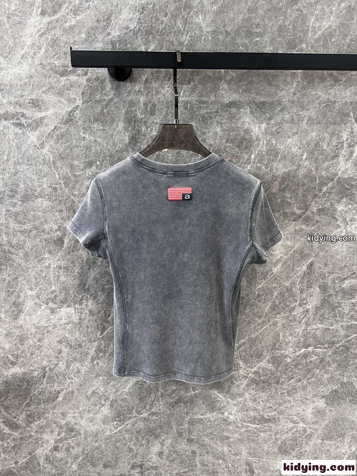 アレキサンダーワング Tシャツ コピー シンプル ロゴ コンパクト 半袖Tシャツ グレー-2