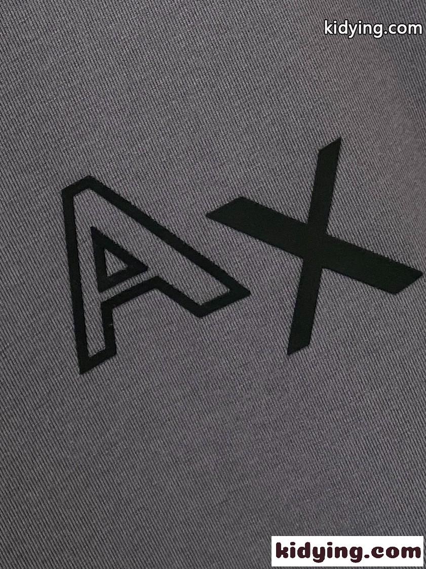 洗練された シンプル アルマーニ Tシャツ 偽物 ロゴ 半袖Tシャツ グレー-2