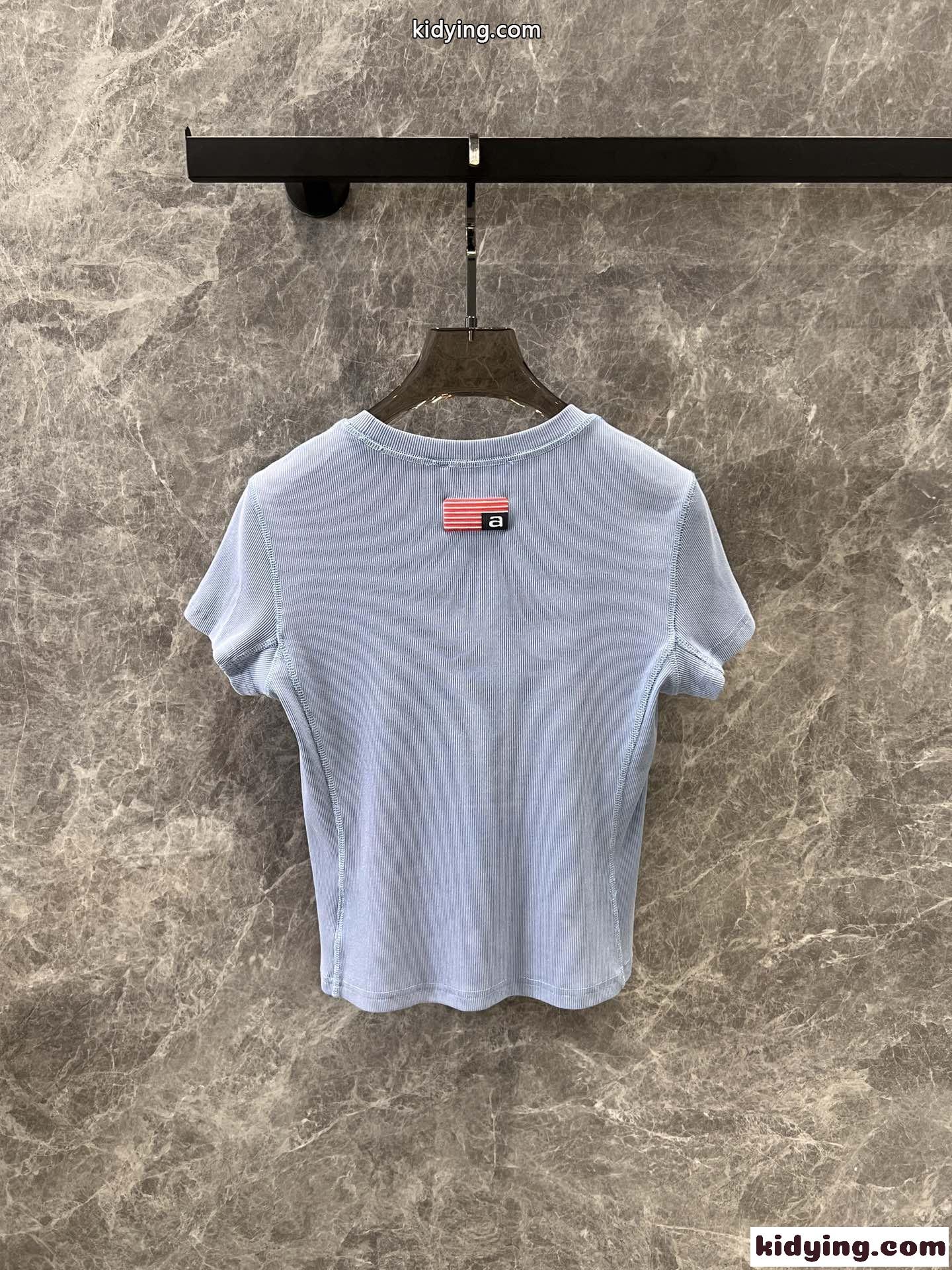 アレキサンダーワング Tシャツ コピー シンプル ロゴ コンパクト 半袖Tシャツ ライトブルー-2