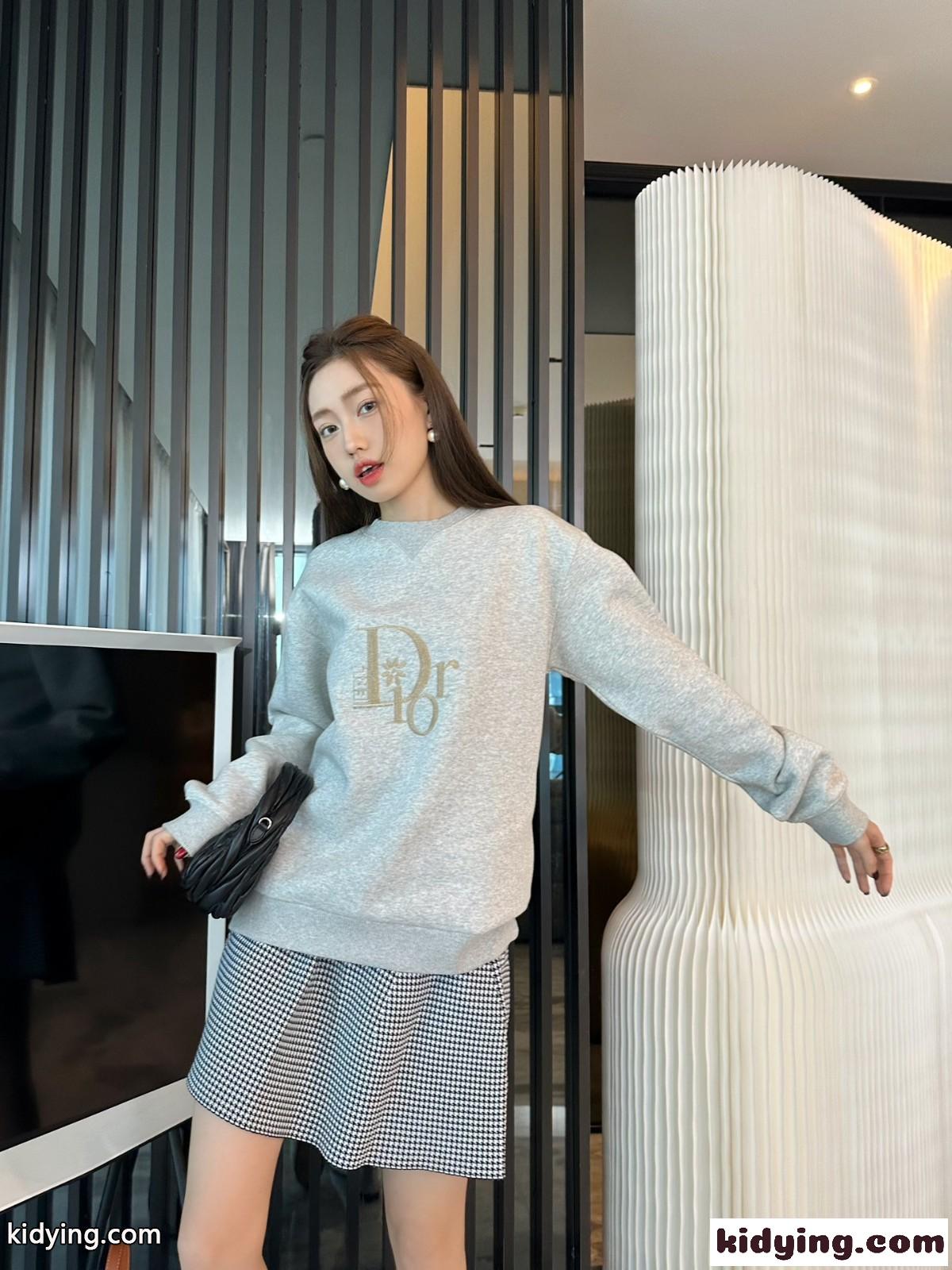 DIOR BY ERL オーバーサイズ スウェット クリスチャン・ディオール パーカー コピー グレー-4