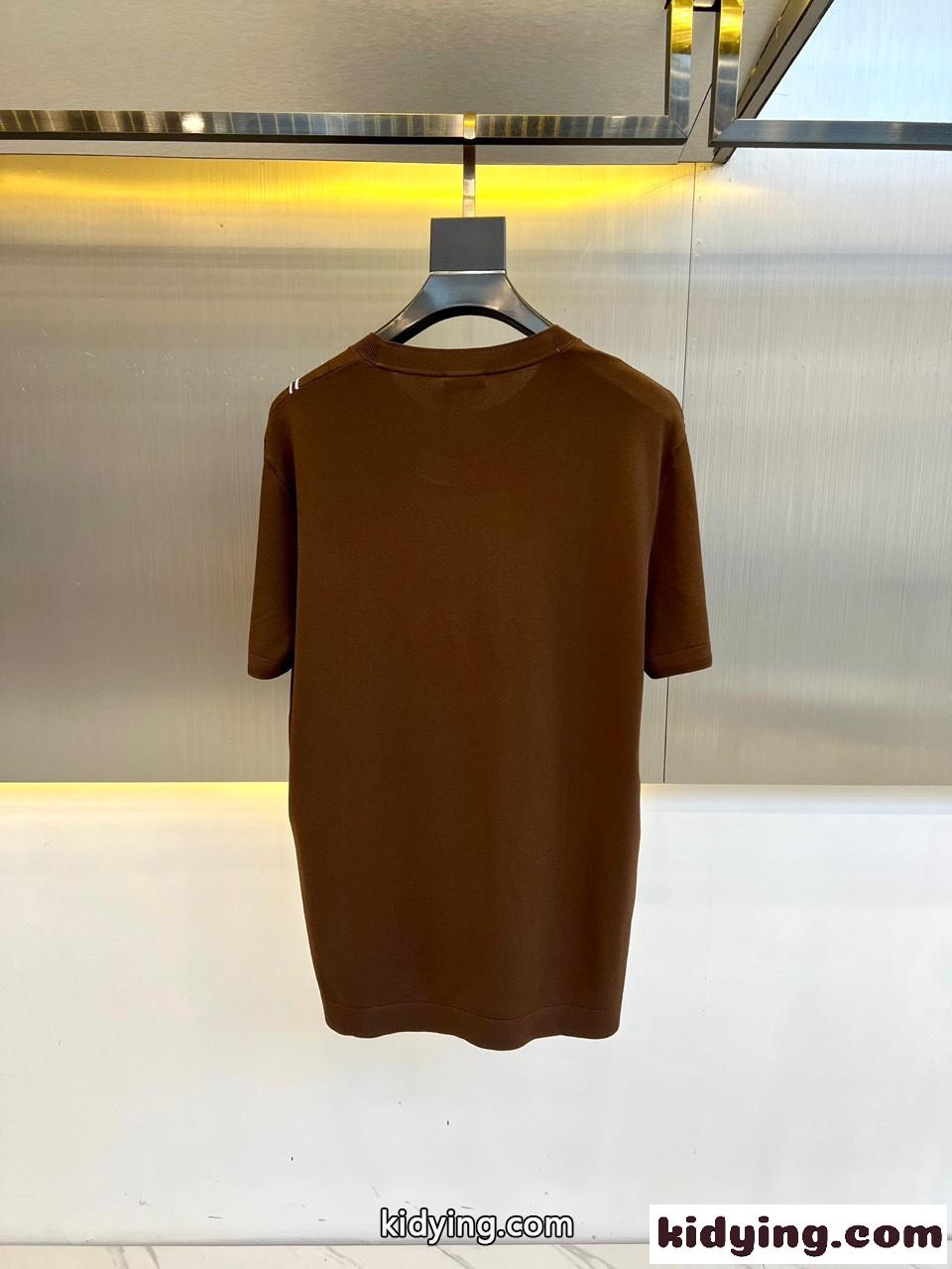 カジュアル おしゃれ エルメネジルド・ゼニア Tシャツ コピー ブラウン-3