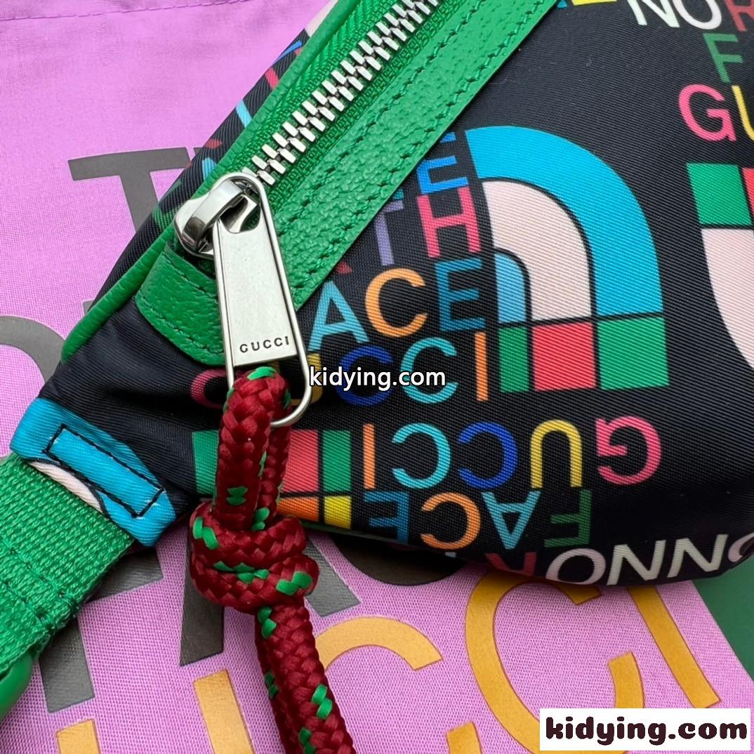 人気 GUCCI × THE NORTH FACE ベルトバッグ コラボ グッチ バッグ コピー-2