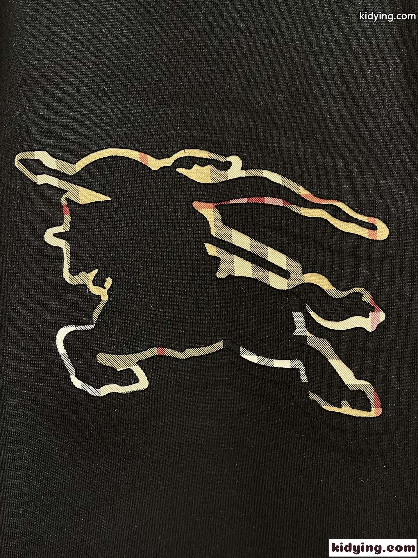 チェックEKD コットンTシャツ バーバリー Tシャツ コピー クルーネック 半袖-4
