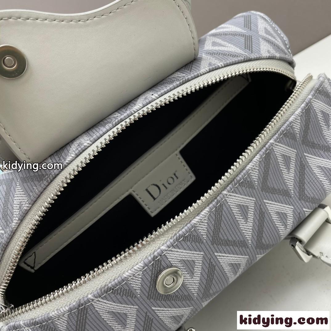DIOR LINGOT 26 バッグ CD Diamond キャンバス クリスチャン・ディオール バッグ コピー-4
