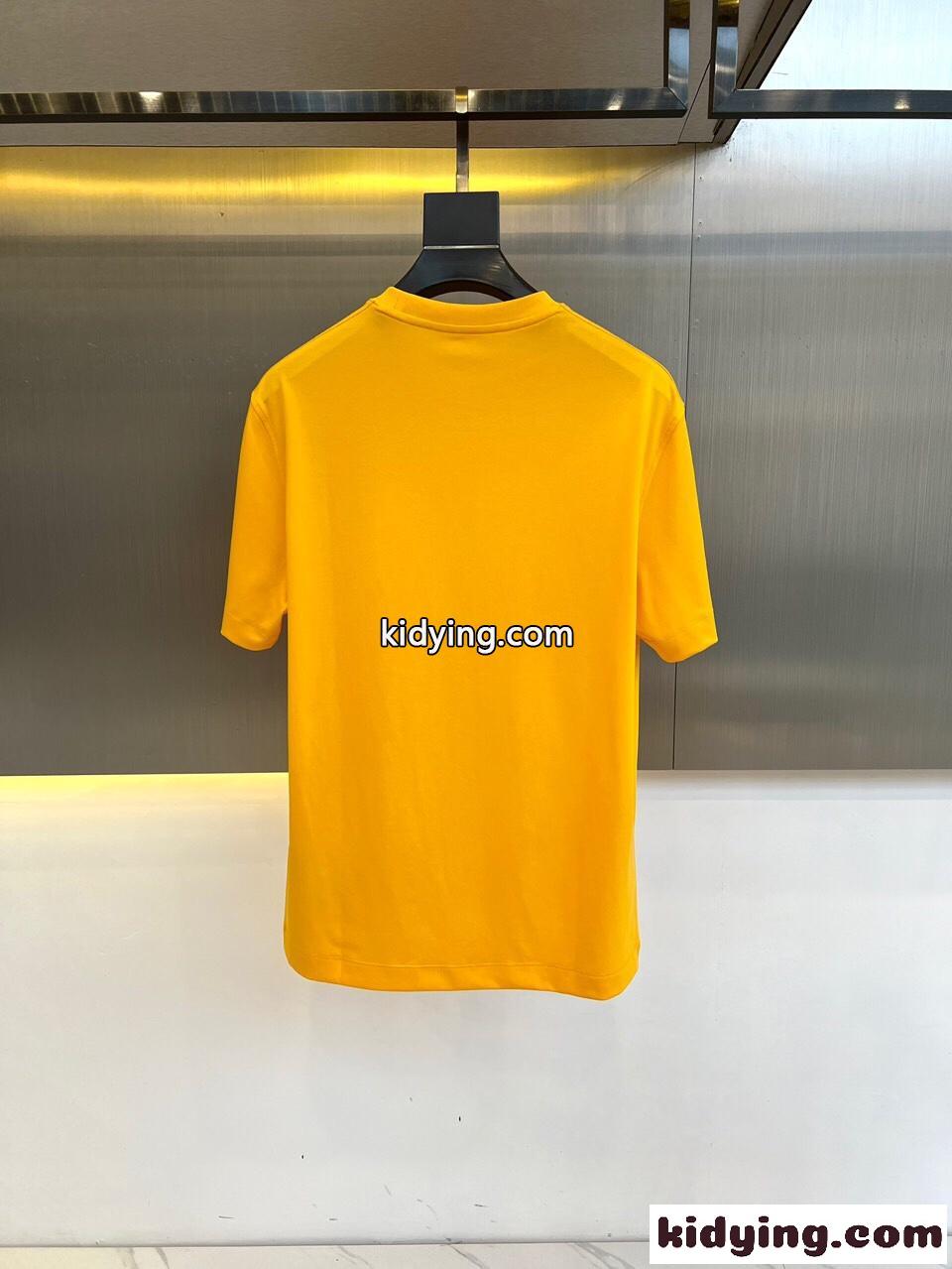 快適 冷感 クルーネック 半袖Tシャツ エルメネジルド・ゼニア Tシャツ コピー イエロー-4