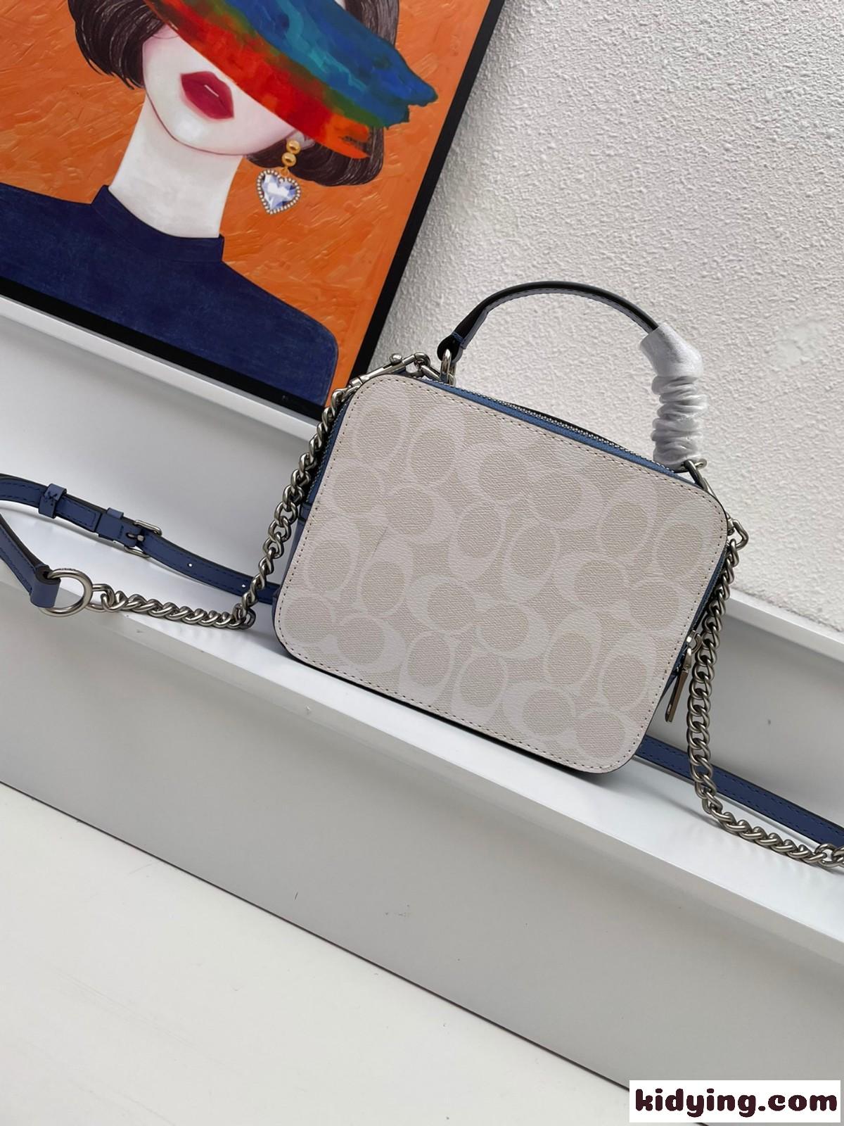 DISNEY X COACH コーチ バッグ コピー レディース ダブルジップ ボックスショルダーバッグ-2