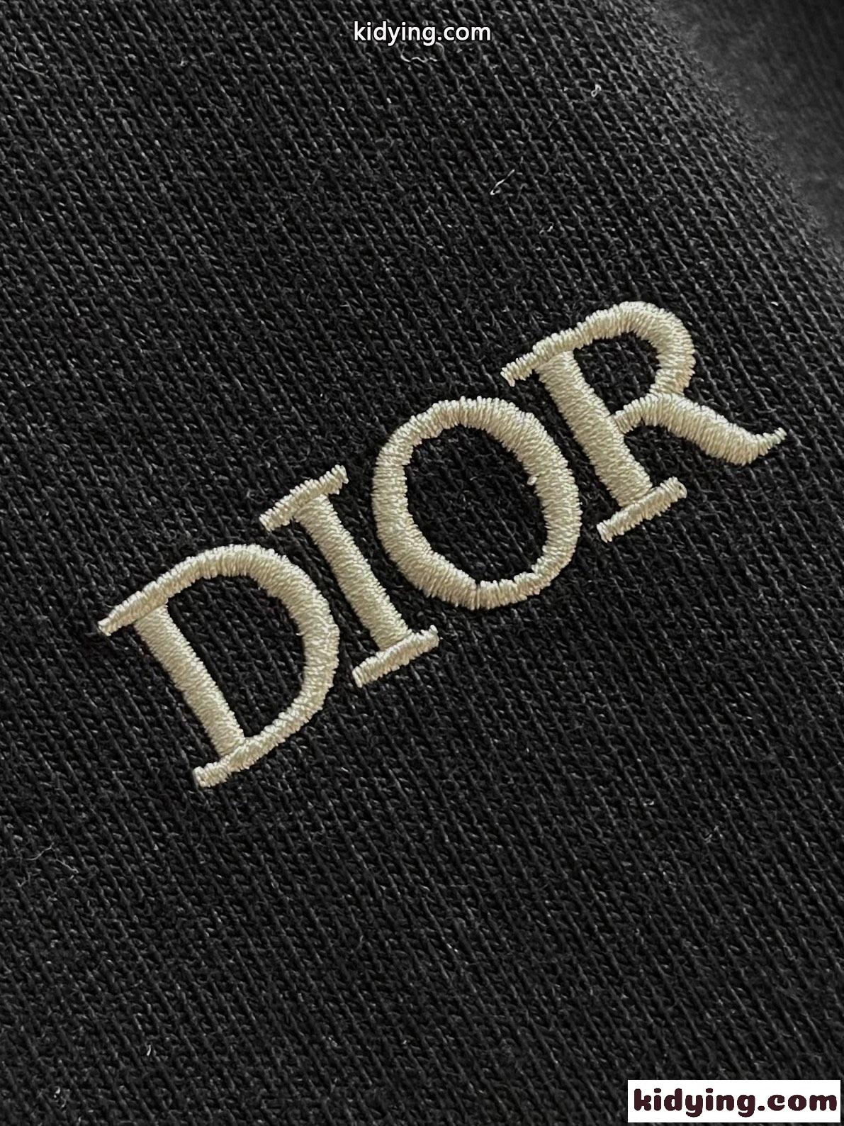 クリスチャン・ディオール Tシャツ コピー シンプル ロゴ入り 半袖Tシャツ ブラック-1