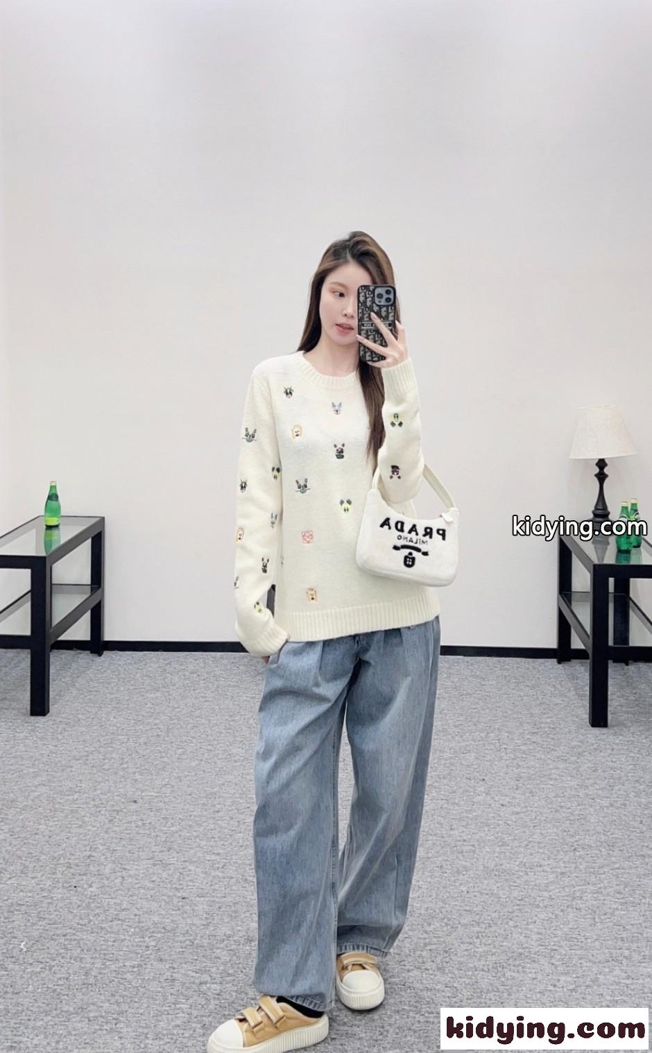 遊び心あふれる！刺繍入り クルーネックニット ロエベ セーター コピー ウール-3