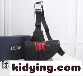 Diorディオ男性用サドルバッグ 純正品の対版ケースをつける クリスチャンディオール バッグ 人気 コピー-4