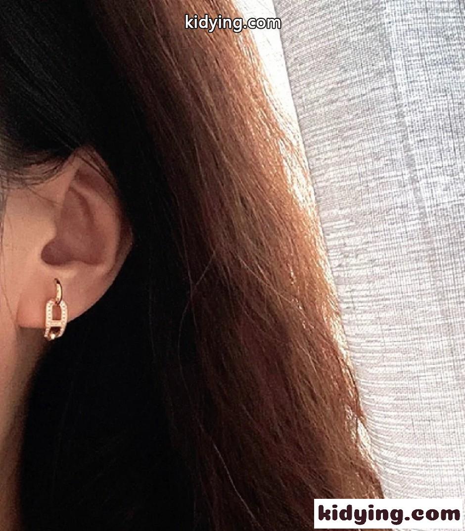 タイムレスな気品 パヴェビジューピアス エルメス イヤリング 偽物 アクセサリー-4