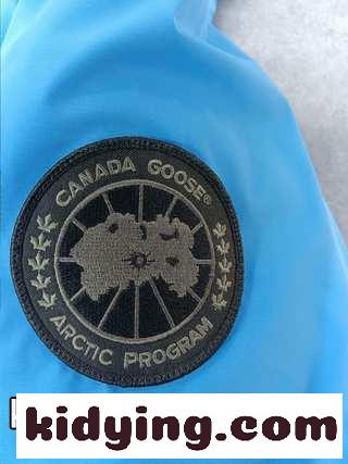 カナダのガチョウOVOXCANADAGOOSECONSTABLEの連名ダウンジャケット カナダグース ダウンジャケット 人気コピー-4