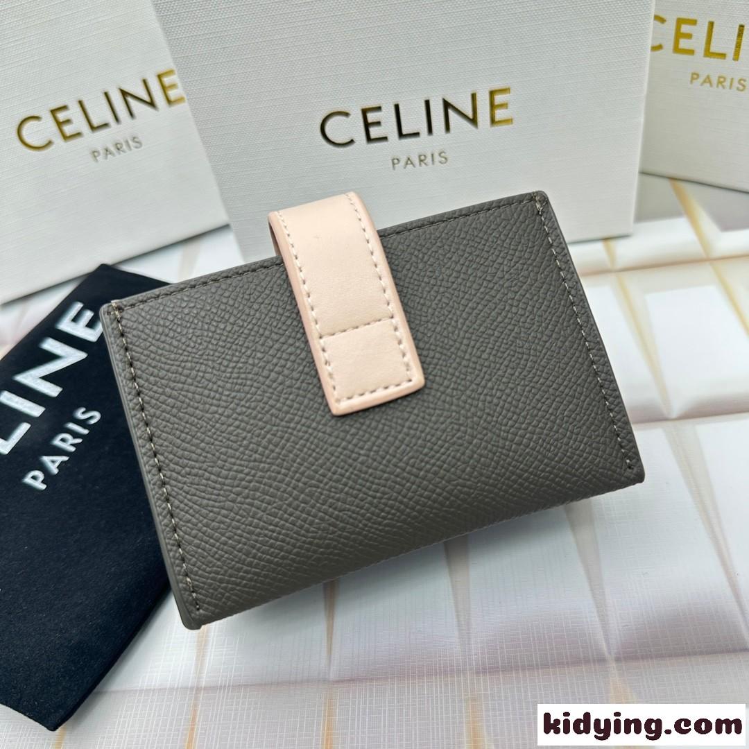 人気 ロゴ セリーヌ CELINE アコーディオン カードホルダー コピー-2