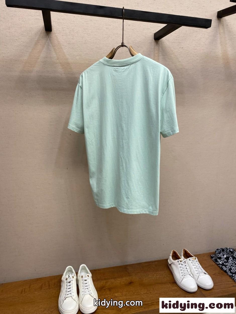 シンプル フラワー刺繡 半袖Tシャツ クリスチャン・ディオール Tシャツ 偽物 グリーン-1