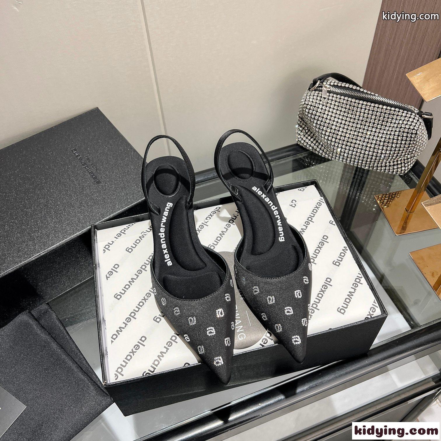 上品 エレミュール パンプス アレキサンダーワング パンプス コピー ブラック-1